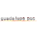 ｇｕａｄａｌｕｐｅ ｐｕｃ  (attack on titan)
