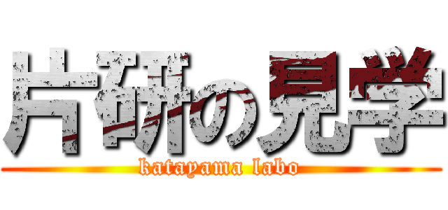 片研の見学 (katayama labo)