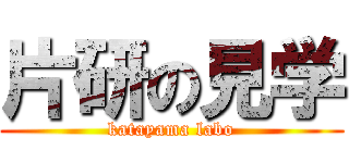 片研の見学 (katayama labo)