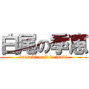 白尾の季恵 (daisuki maji daisuki)