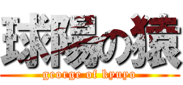 球陽の猿 (george of kyuyo)