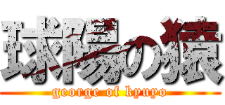 球陽の猿 (george of kyuyo)