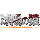 球陽の猿 (george of kyuyo)