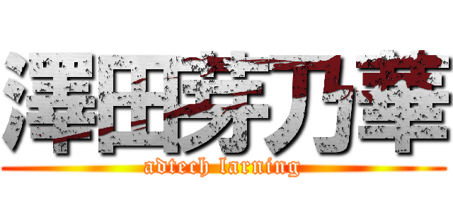 澤田芽乃華 (adtech larning)