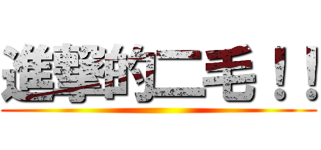 進撃的二毛！！ ()