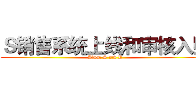 Ｓ销售系统上线和审核入账 (About S and R)