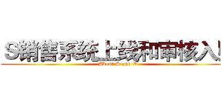 Ｓ销售系统上线和审核入账 (About S and R)