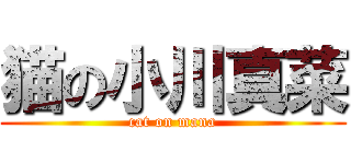 猫の小川真菜 (cat on mana)