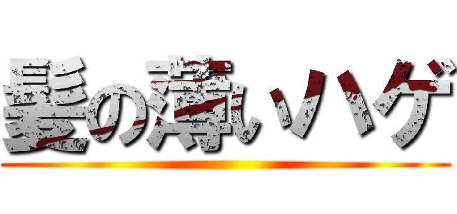 髪の薄いハゲ ()