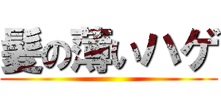 髪の薄いハゲ ()