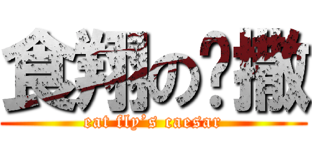 食翔の铠撒 (eat fly’s caesar)