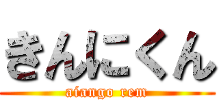 きんにくん (aiango rem)