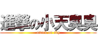 進撃の小天臭臭 (attack on sky)