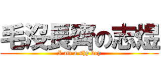 毛沒長齊の志煜 (I am a shy boy)