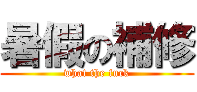 暑假の補修 (what the fuck)