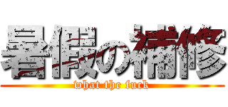 暑假の補修 (what the fuck)