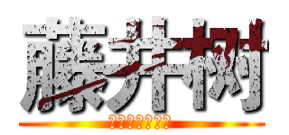 藤井树 (私はとても良い)