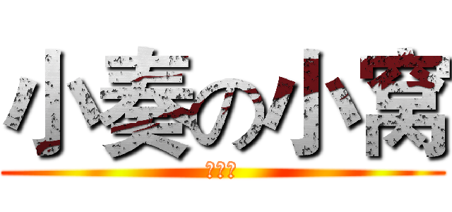 小奏の小窝 (かなで)