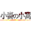 小奏の小窝 (かなで)