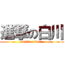 進撃の白川 (white river)