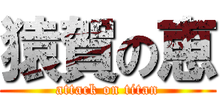 猿賀の恵 (attack on titan)