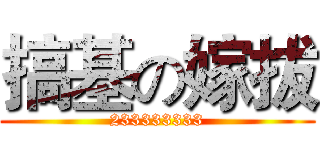 搞基の嫁拔 (233333333)