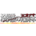 沒雕の冠菻 (attack on titan)