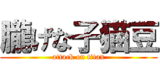 朧げな子猫豆 (attack on titan)