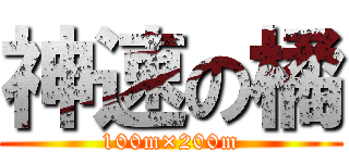 神速の橘 (100m×200m)