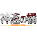 神速の橘 (100m×200m)