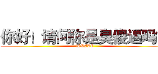 你好！请问你是臭傻逼吗？ (臭SHABI)