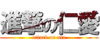進撃の仁愛 (attack on nia)