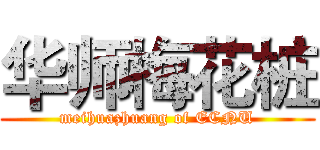 华师梅花桩 (meihuazhuang of ECNU)