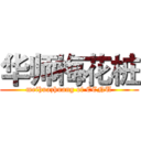 华师梅花桩 (meihuazhuang of ECNU)
