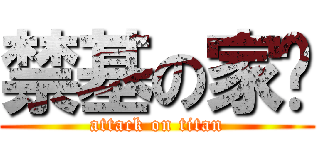 禁基の家乐 (attack on titan)