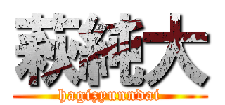 萩純大 (hagizyunndai)