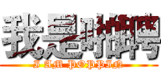 我是啪聘 (I AM POPPIN)