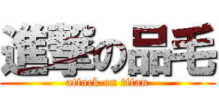 進撃の品毛 (attack on titan)