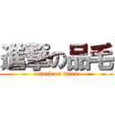 進撃の品毛 (attack on titan)