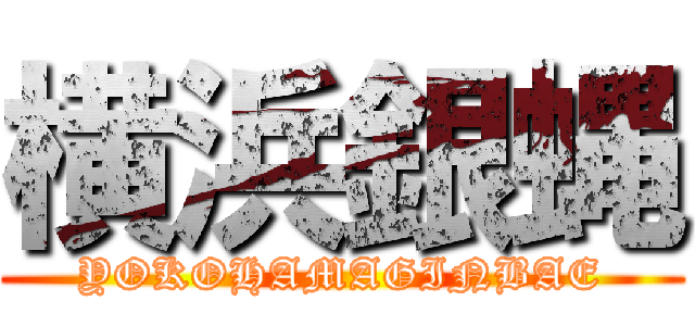 横浜銀蝿 (YOKOHAMAGINBAE)