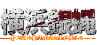 横浜銀蝿 (YOKOHAMAGINBAE)