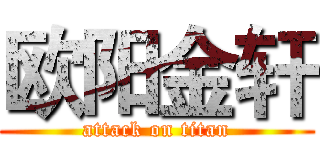 欧阳金轩 (attack on titan)