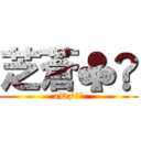 芝蒼♣︎ (aD≠芝蒼)