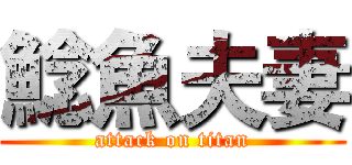 鯰魚夫妻 (attack on titan)