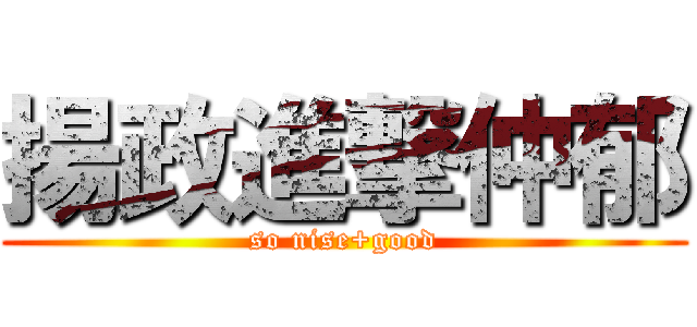 揚政進撃仲郁 (so nise+good)