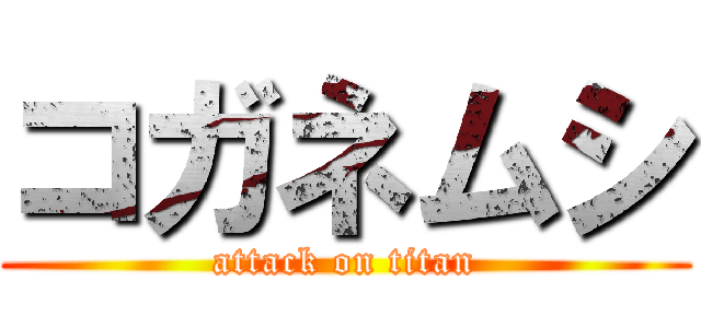 コガネムシ (attack on titan)