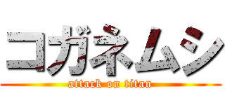 コガネムシ (attack on titan)