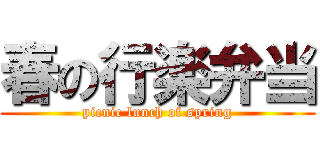 春の行楽弁当 (picnic lunch of spring)