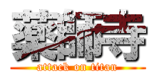 薬師寺 (attack on titan)