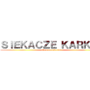 ＳＩＥＫＡＣＺＥ ＫＡＲＫÓＷ (attack na pizderene)